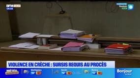 Lille: prison avec sursis requise contre l'ex-directrice et l'ancienne employée d'une crèche, accusées de violences