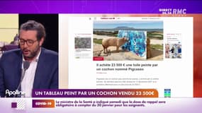 23 500 euros pour une peinture réalisée par un cochon