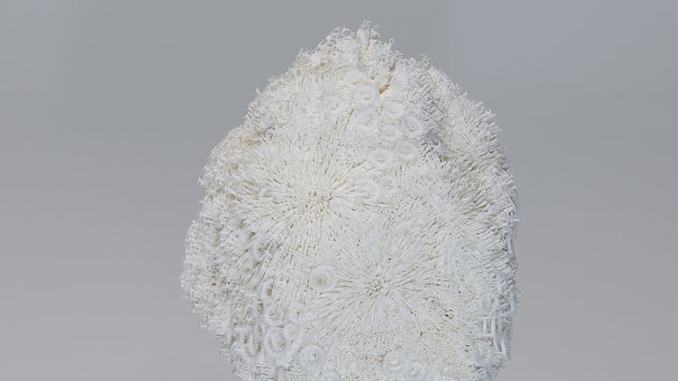 L'œuvre 'Metanoia' par Eriko Inazaki, lauréate du Loewe Foundation Craft Prize 2023.