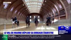 Val-de-Marne: une nouvelle brigade équestre inaugurée