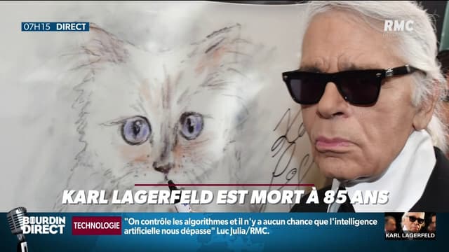 Mort de Karl Lagerfeld: sa chatte Choupette va hériter de sa fortune (ou presque)