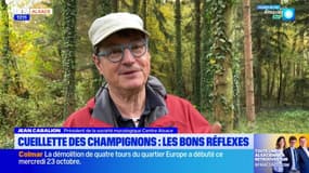 Alsace: les bons réflexes pour cueillir les champignons