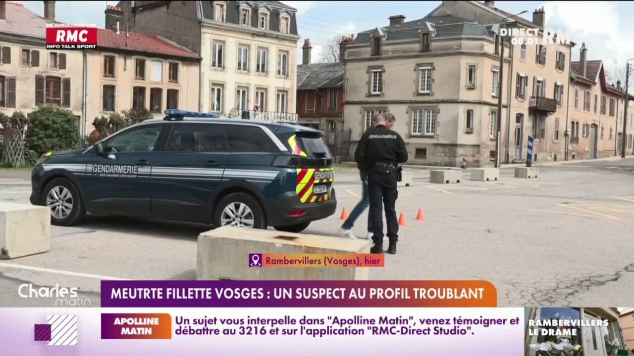 Meurtre Fillette Vosges Un Suspect Au Profil Troublant