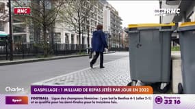 Gaspillage : 1 milliard de repas jetés par jour en 2022