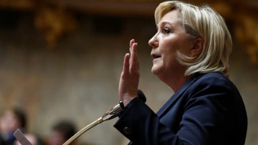 La présidente du Front National Marine Le Pen à Paris, le 14 février 2018