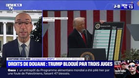 "Un coup d'État judiciaire": les réactions après la suspension des droits de douane de Donald Trump par un tribunal américain 