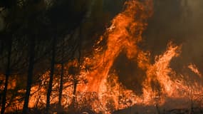 Incendie de Landiras (Gironde)