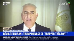 Manifestations en Iran : "Il faut se préparer à s'emparer des centres-villes et à les contrôler", a indiqué Reza Pahlavi, fils du Shah, exilé d'Iran