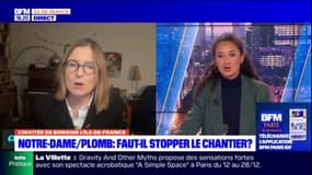 Notre-Dame de Paris: la position de la mairie concernant le chantier