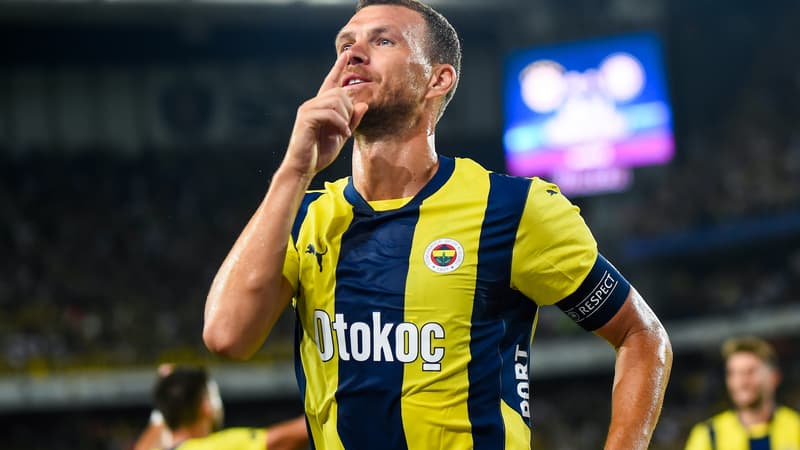 Edin Dzeko - Fenerbahce