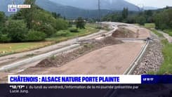 Bas-Rhin: l'association Alsace nature porte plainte contre X à Châtenois