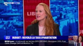 Retour de la taxe d'habitation: pour Violette Spillebout (Ensemble), cela serait "du carburant pour la révolte des Français"