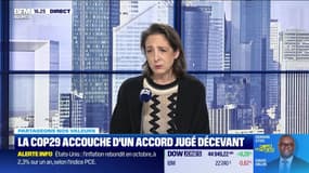 La COP29 accouche d"un accord jugé décevant - 27/11