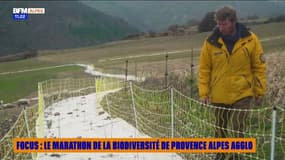 FOCUS : Le marathon de la biodiversité de Provence Alpes Agglo