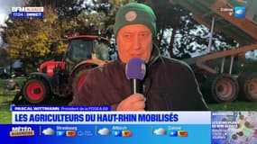 Colère des agriculteurs: "c'est une manifestation qui va monter crescendo", assure Pascal Wittmann