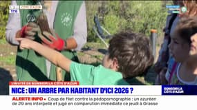 Nice: des arbres plantés par les riverains, objectif un arbre par habitant d'ici 2026