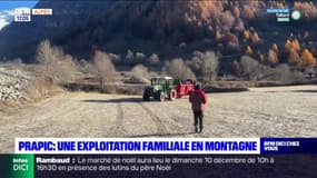 Prapic: Alban reprend l'exploitation familiale en montagne