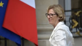 Invoquant des "raisons de santé", la ministre Genevivèe Fioraso a présenté sa démission du gouvernement.