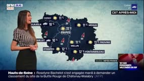 Météo Île-de-France: des températures douces malgré la grisaille et le vent ce mercredi