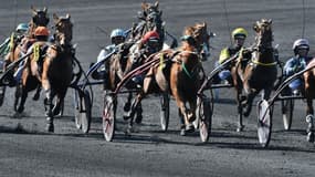 Des trotteurs en piste (illustration)