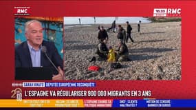 Immigration : "L'immigration n'est pas une solution pour notre pays, c'est un problème", estime Sarah Knafo, députée européenne Reconquête