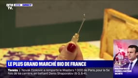 Quelle alternative aux cotons-tiges, qui seront interdits dès janvier 2020 ?
