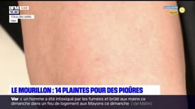 Toulon: le témoignage d'une victime de piqûres suspectes lors du concert de la chanson de l'année