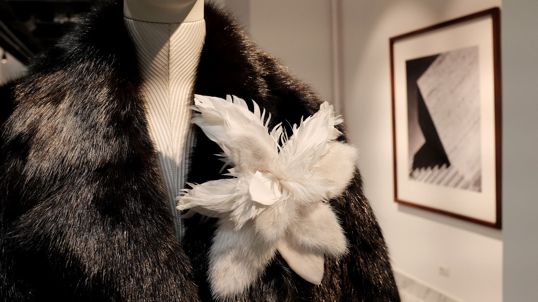 Une fourrure Fendi