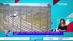 Les explications de Fabien Villedieu, syndicaliste Fede SUD Rail à propos des 17 milliards d'euros que coûte la SNCF aux Français. 