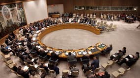 Le Conseil de sécurité de l'Onu a adopté samedi à l'unanimité une résolution qui autorise un premier déploiement de 300 "bérets bleus" non armés pendant trois mois en Syrie pour contrôler l'application du fragile cessez-le-feu en vigueur depuis plus d'une