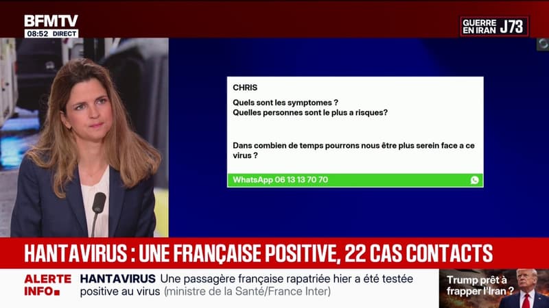 Symptômes, personnes à risque, cas contact... BFMTV répond à vos questions sur le hantavirus