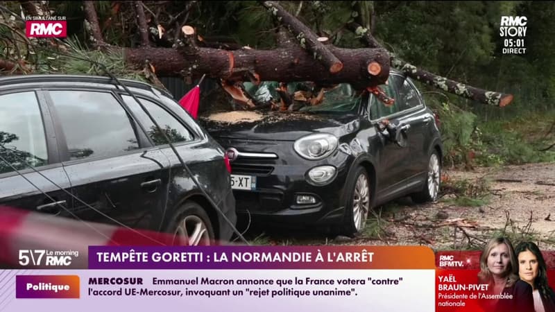 Tempête Goretti : La Normandie à l'arrêt