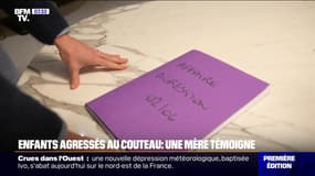 Agressés au couteau et violemment frappés en sortant du RER, ces deux jeunes témoignent