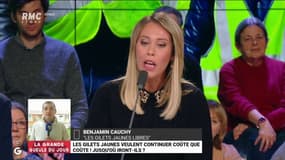 #GiletsJaunes "Il faut arrêter de vouloir faire des manifestations pacifistes tout en entretenant toute la violence qui en découle" @AmezianeRose #GGRMC