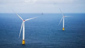 Un parc éolien offshore de l'entreprise énergétique norvégienne Equinor au large de la Norvège, le 23 août 2023 (photo d'illustration).