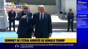 Donald Trump arrive à Ankara pour participer au 36e sommet de l'Otan