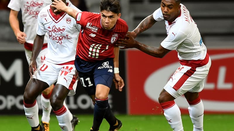 Luiz Araujo