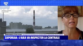 Zaporijia: inspection sous haute surveillance - 20/08