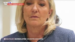LIGNE ROUGE - Procès RN: comment Marine Le Pen a vu l'œuvre de sa vie s'écrouler en quelques secondes