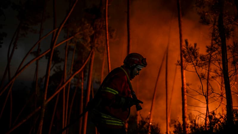 Portugal: des feux de forêt font rage depuis plusieurs jours, 1500 pompiers mobilisés