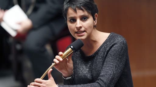 La PMA figurera dans le projet de loi famille d'ici fin 2013