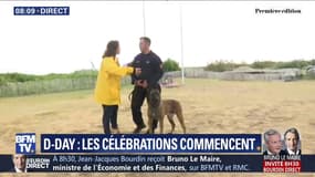 D-Day: avant le début des célébrations, la brigade cynophile sécurise une des plages du débarquement