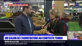 Salon de l'agriculture 2024: un rendez-vous majeur pour les Hauts-de-France