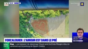 Forcalquier: un gigantesque cœur dans un champ de coquelicots 