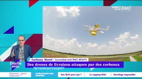 C’est quoi le progrès ? : Des drones de livraison attaqués par des corbeaux - 28/09