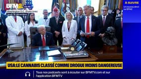 États-Unis: "Des gens qui me supplient de le faire", justifie Donald Trump concernant la reclassification du cannabis en drogue moins dangereuse