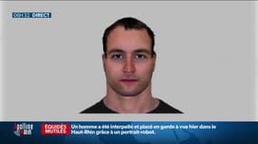 Chevaux mutilés: après la diffusion d’un portrait-robot, un premier suspect interpelé