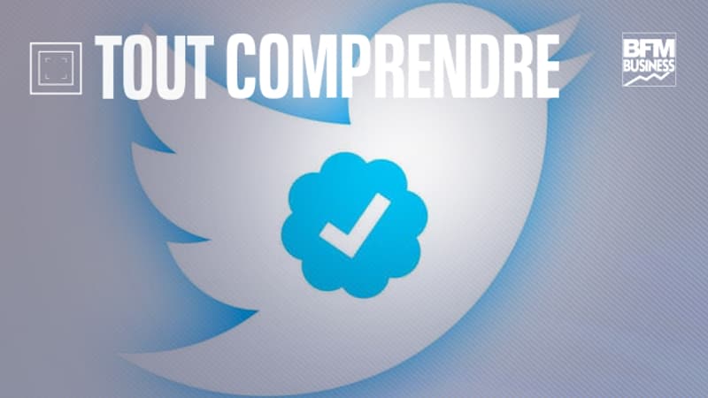 TOUT COMPRENDRE – Qu’est-ce que Twitter Blue, l’abonnement qui vous garantit une certification?