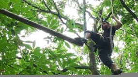 Une semaine dans les parcs d'attraction: haute voltige dans le parc de Sherwood