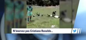 L'actu Sport.Net du 7 juillet 2016